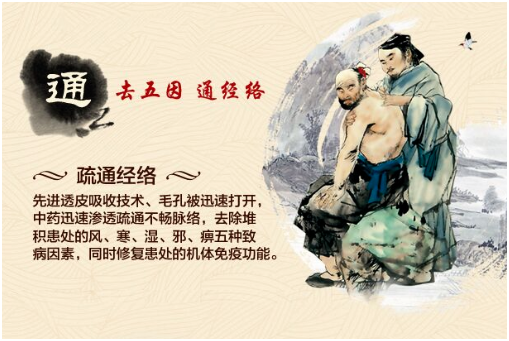 2016“南獅王”強(qiáng)勢(shì)來(lái)襲  國(guó)家級(jí)膏藥品牌真實(shí)評(píng)測(cè)